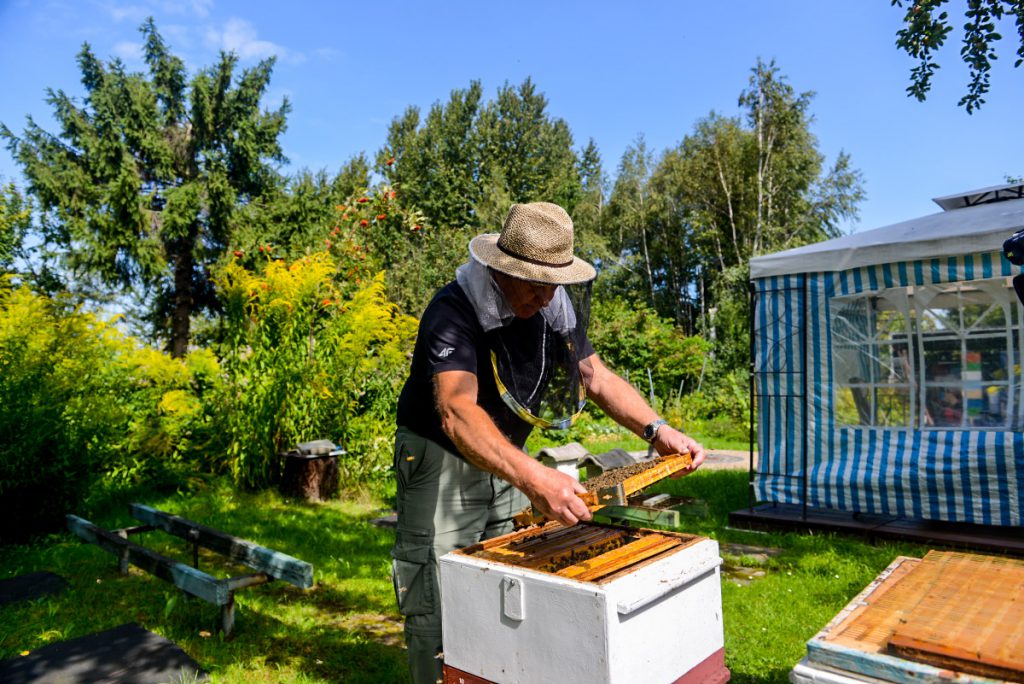Pszczoły są zawsze w dobrym nastroju – opowiada pszczelarz Władysław Odrzywołek