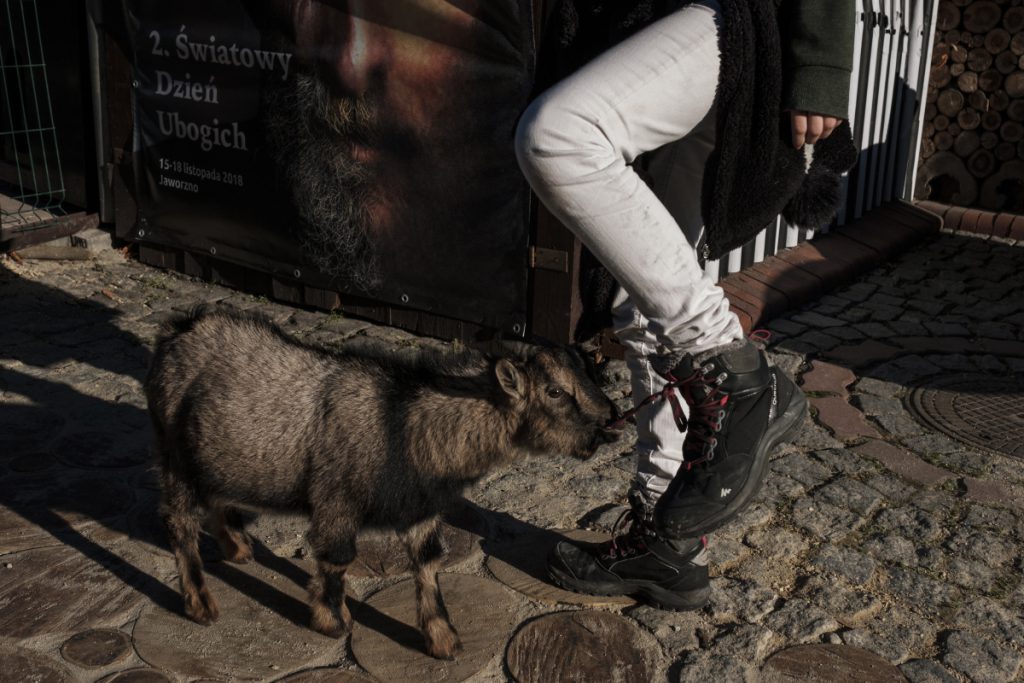 17 listopada. Wspólnota Betlejem. Światowy Dzień Ubogich. Na zdjęciu koziołek Julek, który próbuje rozwiązać sznurówki jednej z uczestniczek obchodów.